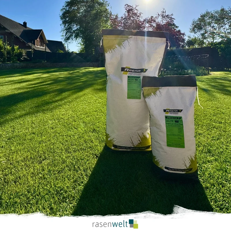 Rasensamen ARENA 4Elite Pure Fescue