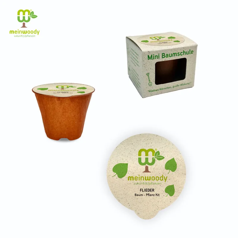 Flieder Pflanz-Set – Syringa vulgaris selbst pflanzen