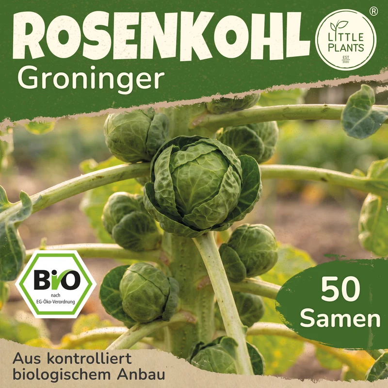 Bio-Rosenkohl (Groninger)