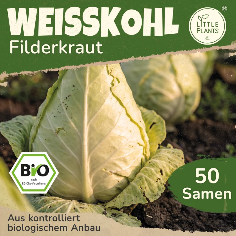 Bio-Weißkohl (Fliderkraut)