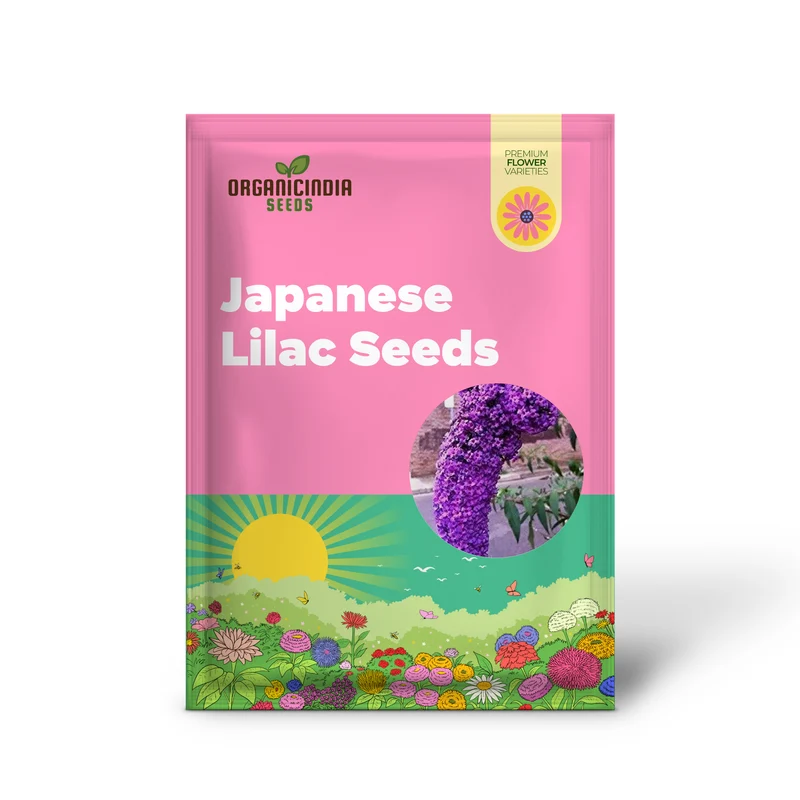 Lilac Seeds (Japanese Lilac Seeds) - Fragrant Creamy White Blooms for Landscaping