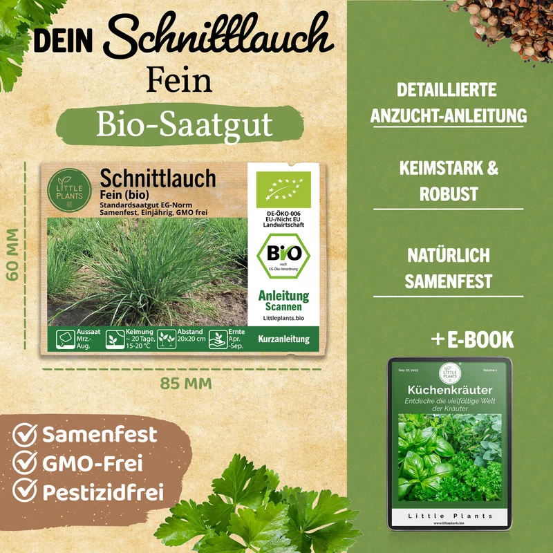 Bio-Schnittlauch