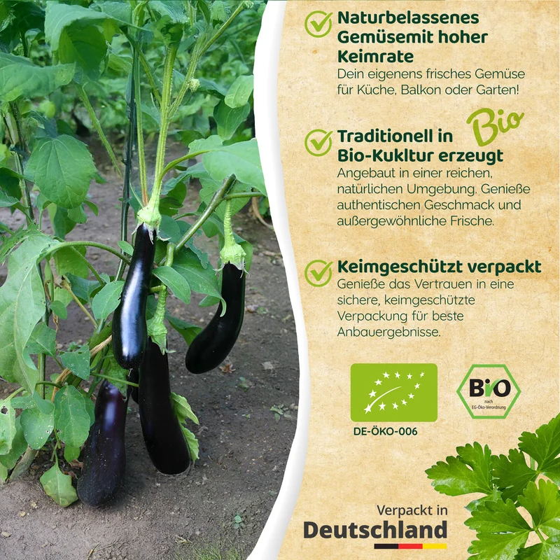 Bio-Aubergine (Violetta Lunga)