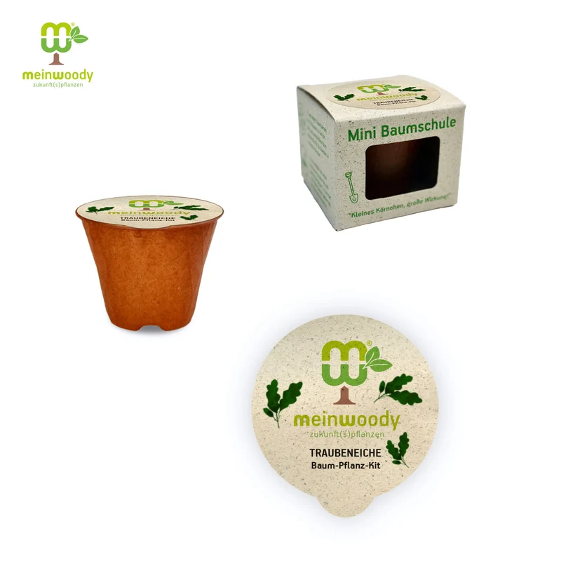 Traubeneiche Baum-Pflanz-Set – Quercus petraea selbst pflanzen