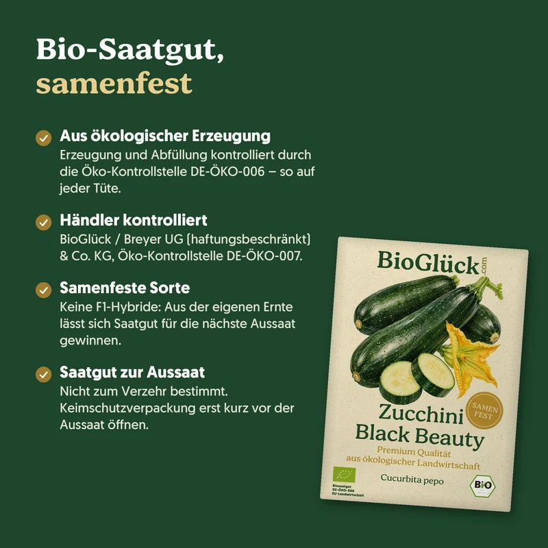 Bio-Zucchini 'Black Beauty' – Samenfestes Bio-Saatgut