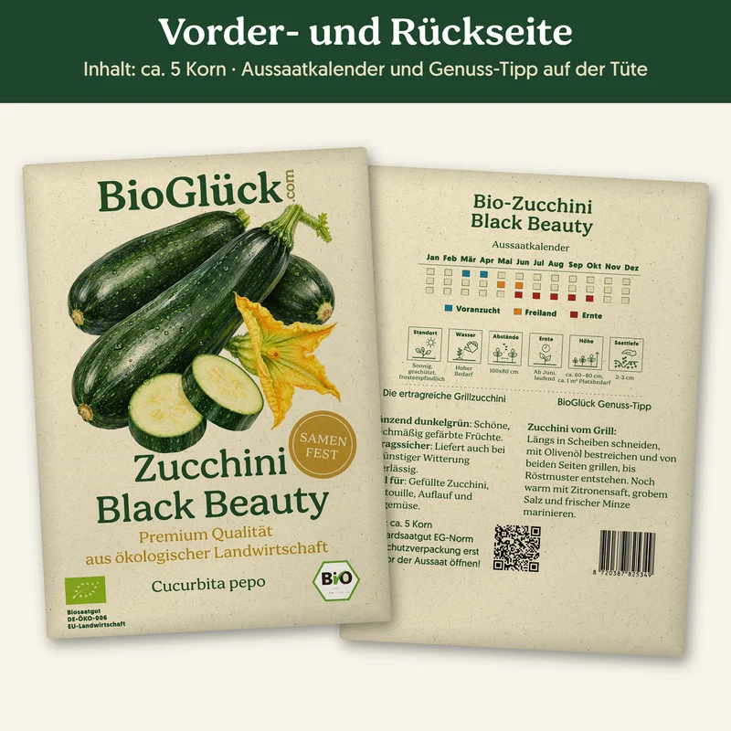 Bio-Zucchini 'Black Beauty' – Samenfestes Bio-Saatgut