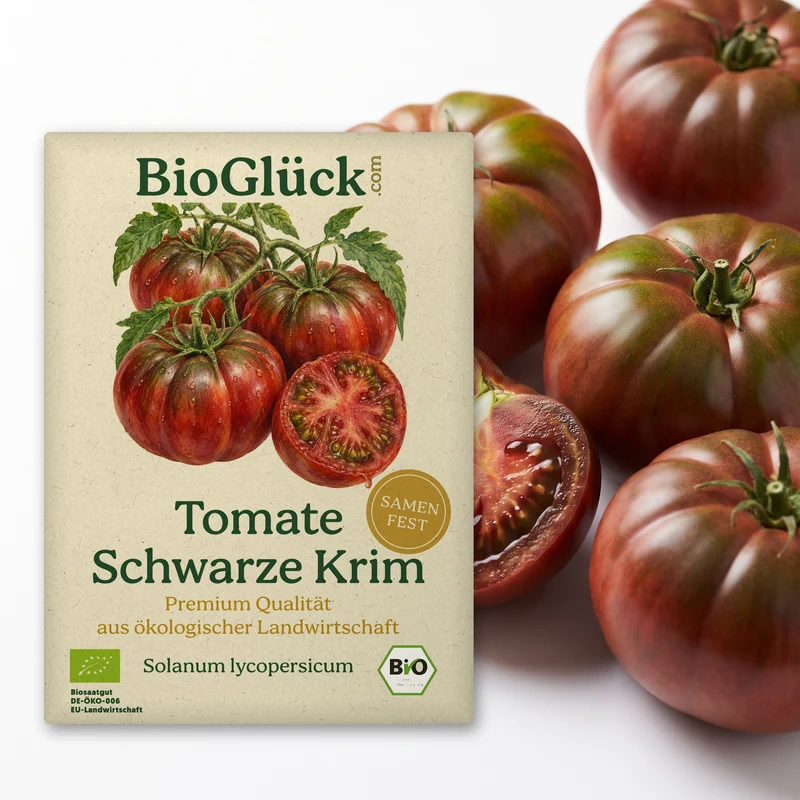 Bio-Tomate 'Schwarze Krim' – Samenfestes Bio-Saatgut