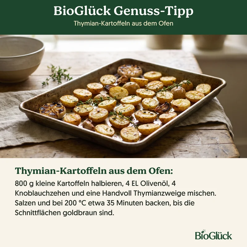Bio-Thymian – Samenfestes Bio-Saatgut