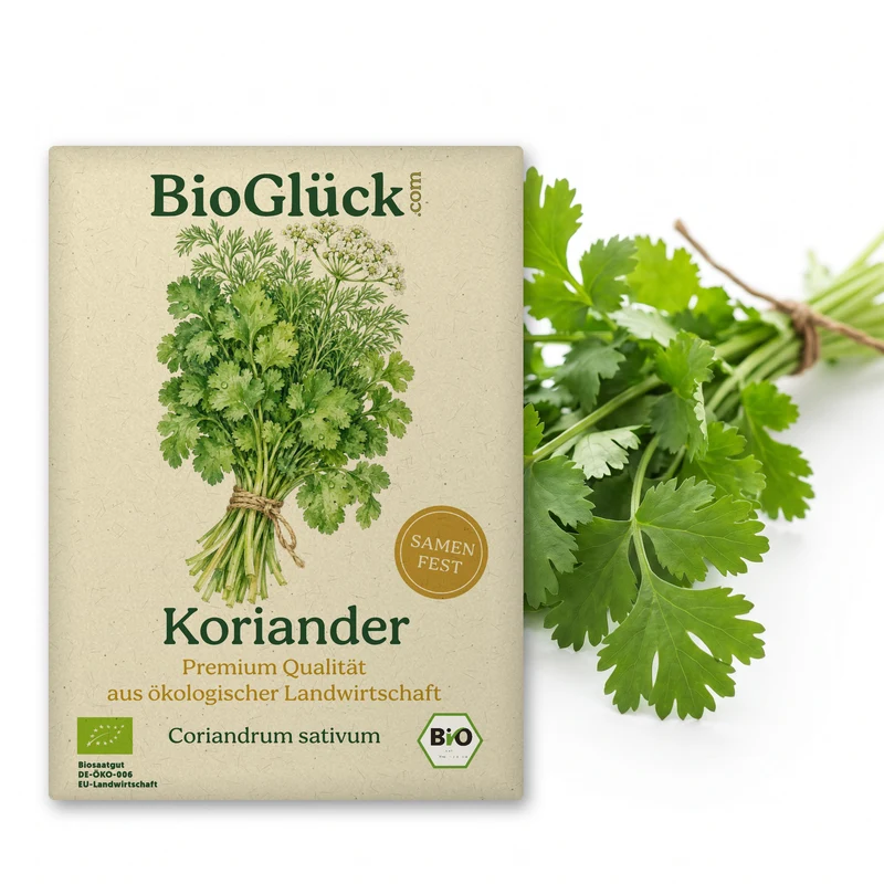 Bio-Koriander – Samenfestes Bio-Saatgut