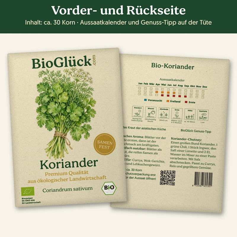Bio-Koriander – Samenfestes Bio-Saatgut