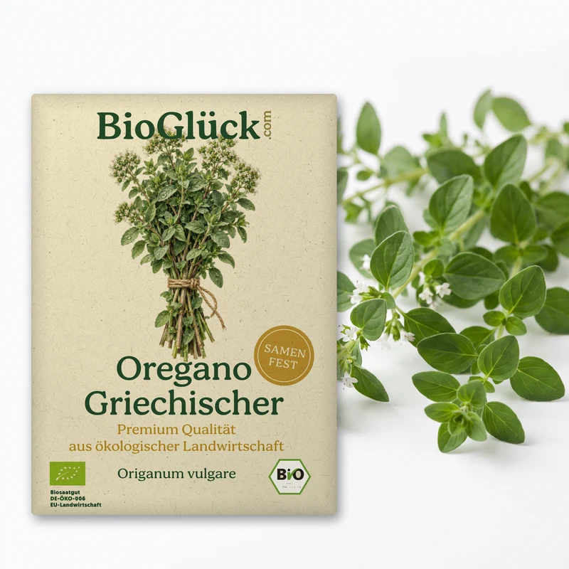 Bio-Oregano 'Griechischer' – Samenfestes Bio-Saatgut