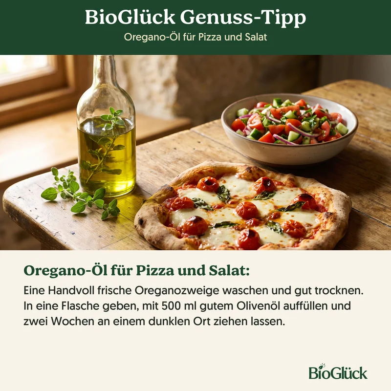 Bio-Oregano 'Griechischer' – Samenfestes Bio-Saatgut