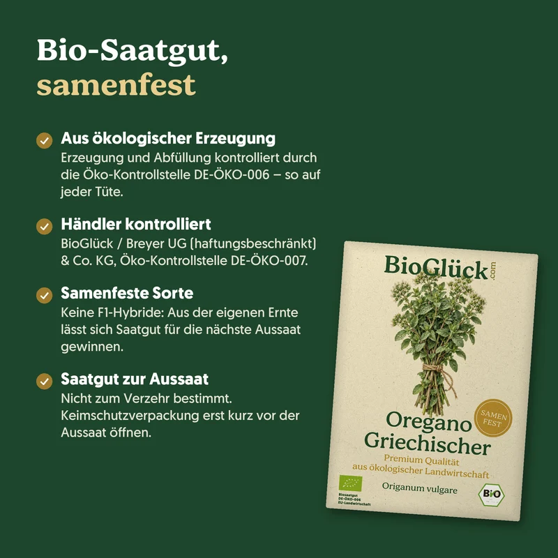 Bio-Oregano 'Griechischer' – Samenfestes Bio-Saatgut