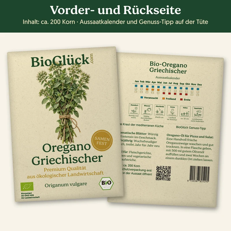 Bio-Oregano 'Griechischer' – Samenfestes Bio-Saatgut
