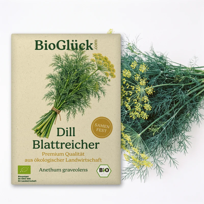 Bio-Dill 'Blattreicher' – Samenfestes Bio-Saatgut