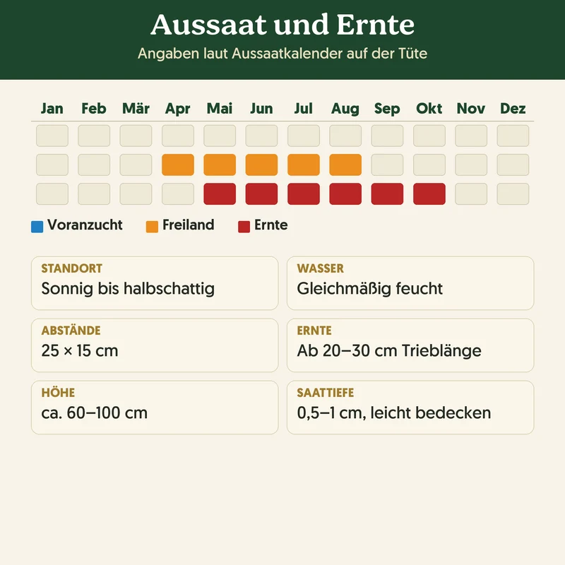 Bio-Dill 'Blattreicher' – Samenfestes Bio-Saatgut