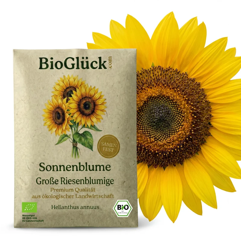 Bio-Sonnenblume 'Riesenblumig' – Samenfestes Bio-Saatgut
