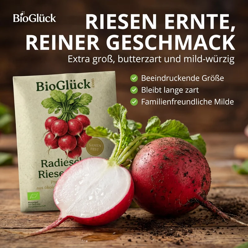 Bio-Radieschen 'Riesenbutter' – Samenfestes Bio-Saatgut