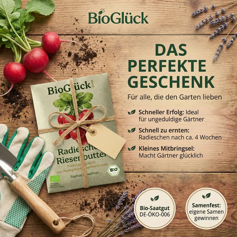 Bio-Radieschen 'Riesenbutter' – Samenfestes Bio-Saatgut