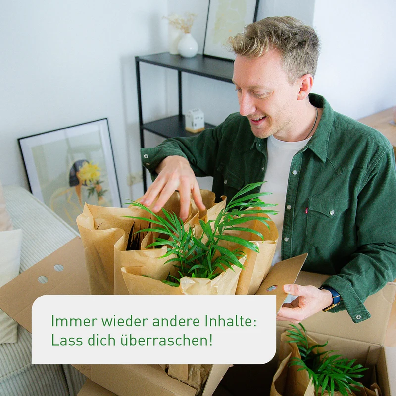 Rette mich: Zimmerpflanzen 4er Set