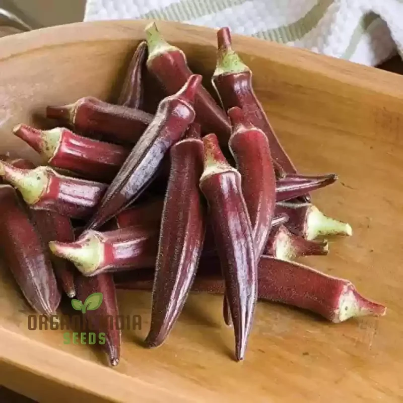 Red Burgundy Okra Seeds for Planting