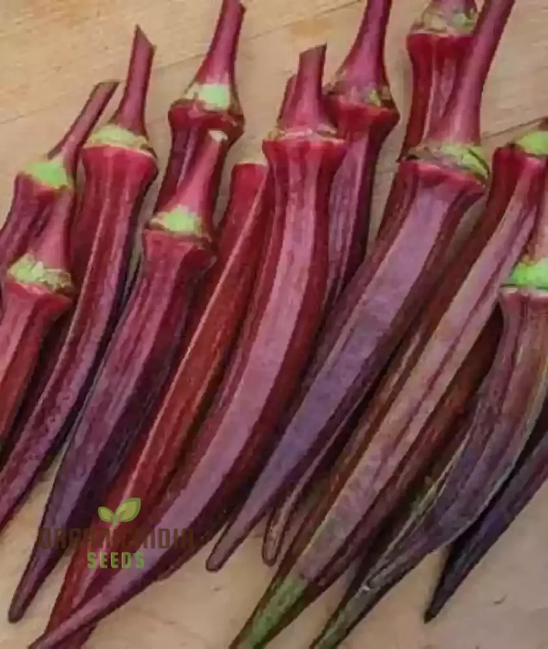 Red Burgundy Okra Seeds for Planting
