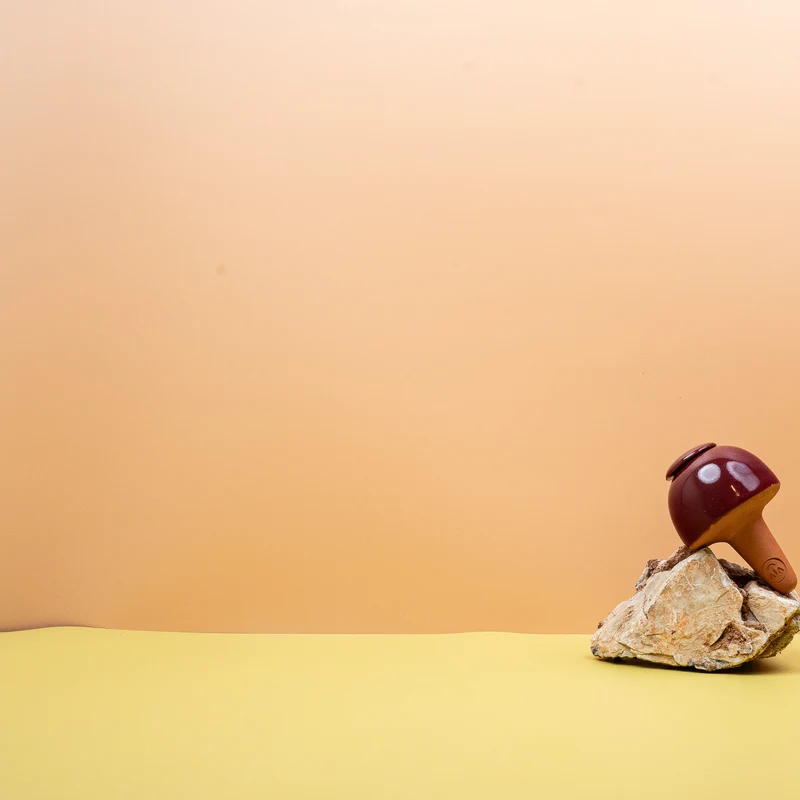 SELBSTBEWÄSSERUNG - LE VIVANT OLLA BURGUNDROT