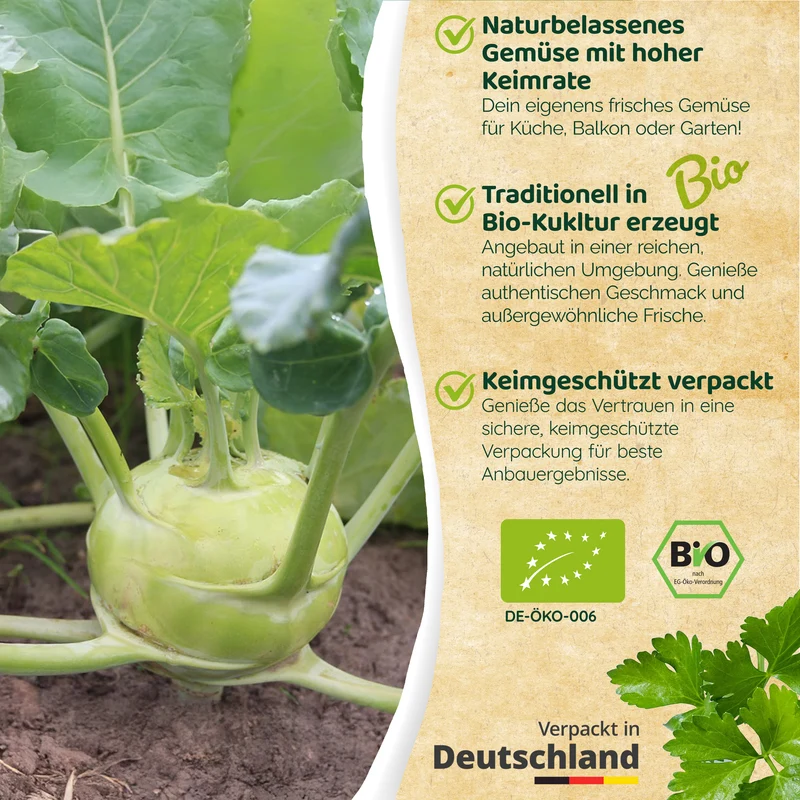 Bio-Kohlrabi (Superschmelz)