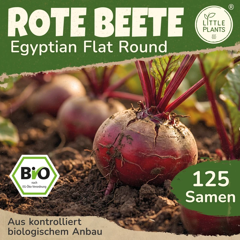 Bio-Rote Beete (Egyptian Flat Round)