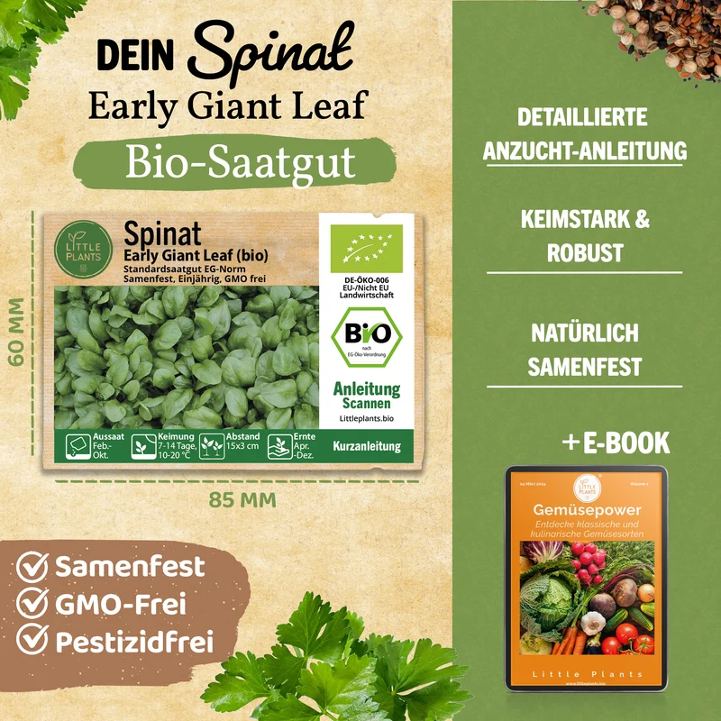 Bio-Spinat (Early Giant Leaf)