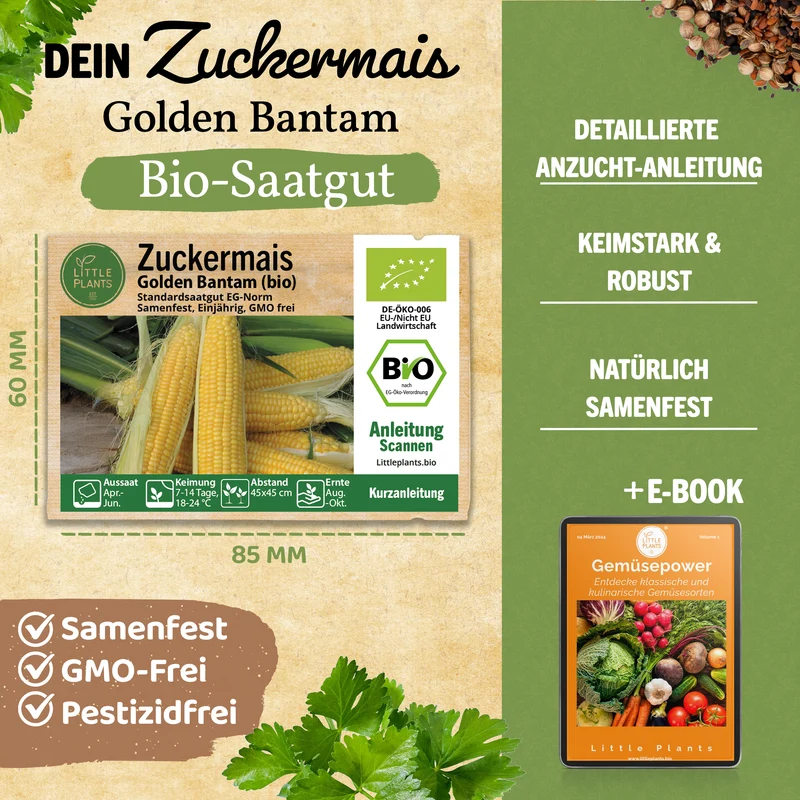Bio-Zuckermais (Golden Bantam)