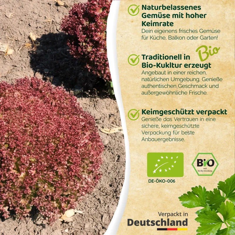Bio-Lollo Salat (Lollo Rossa)