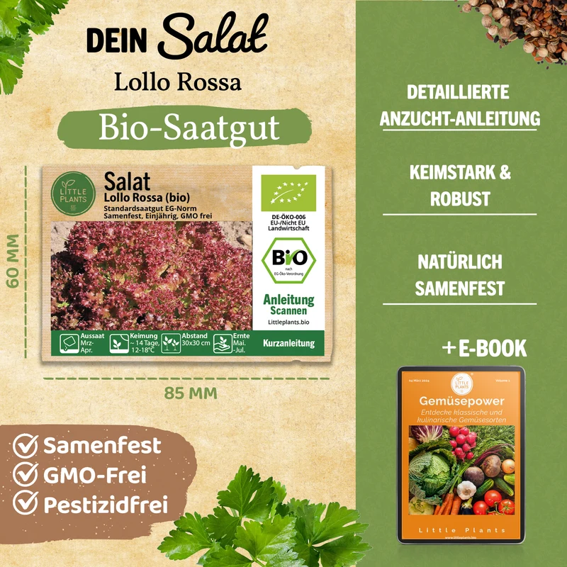 Bio-Lollo Salat (Lollo Rossa)