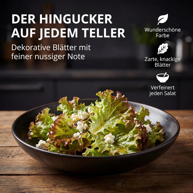 Bio-Pflücksalat 'Amerikanischer Brauner' – Samenfestes Bio-Saatgut
