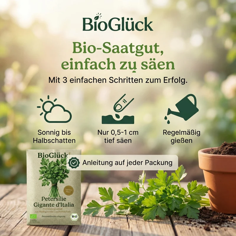 Bio-Petersilie 'Gigante d’Italia' – Samenfestes Bio-Saatgut