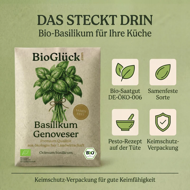 Bio-Basilikum 'Genoveser' – Samenfestes Bio-Saatgut