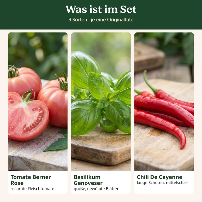 BioGlück Mediterran Saatgut Set – 3 Bio Samen: Tomate Berner Rose, Basilikum Genoveser & Chili De Cayenne