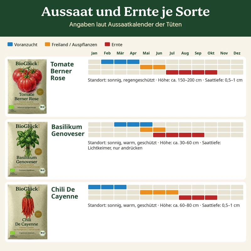 BioGlück Mediterran Saatgut Set – 3 Bio Samen: Tomate Berner Rose, Basilikum Genoveser & Chili De Cayenne