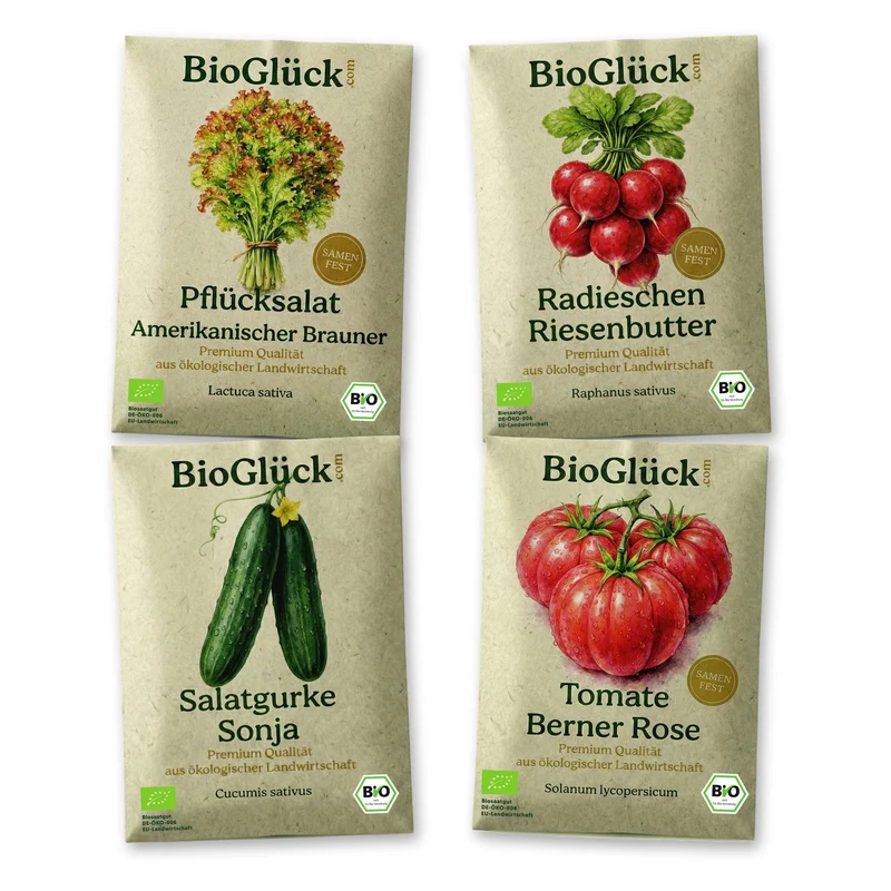 BioGlück Salatgarten Saatgut Set – 4 Bio Samen für den Sommersalat: Pflücksalat, Radieschen Riesenbutter, Salatgurke Sonja & Tomate Berner Rose