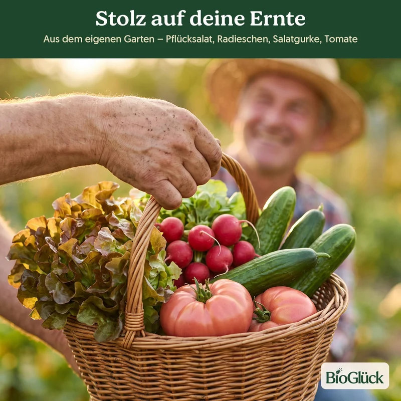 BioGlück Salatgarten Saatgut Set – 4 Bio Samen für den Sommersalat: Pflücksalat, Radieschen Riesenbutter, Salatgurke Sonja & Tomate Berner Rose