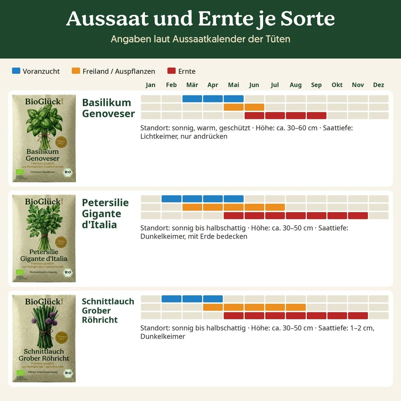 BioGlück Kräutergarten Saatgut Set – 3 Bio Kräutersamen: Basilikum Genoveser, Petersilie Gigante d'Italia, Schnittlauch Grober Röhricht
