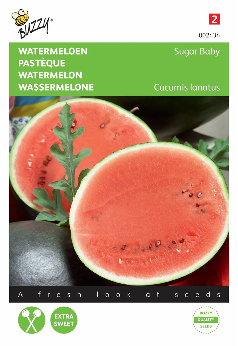 Wassermelonen-Zuckerbaby
