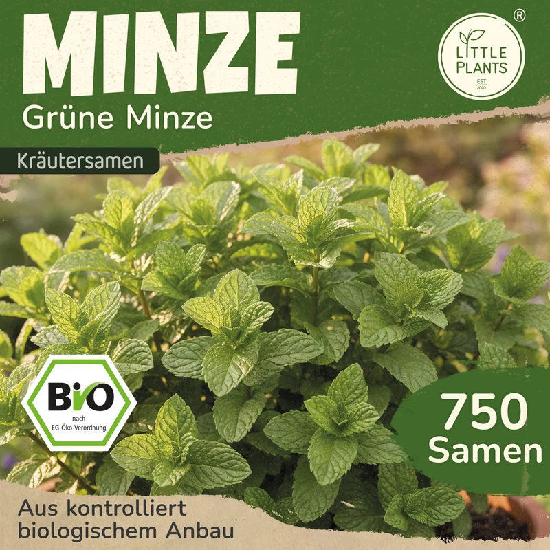 Bio-Minze (Grüne Minze)