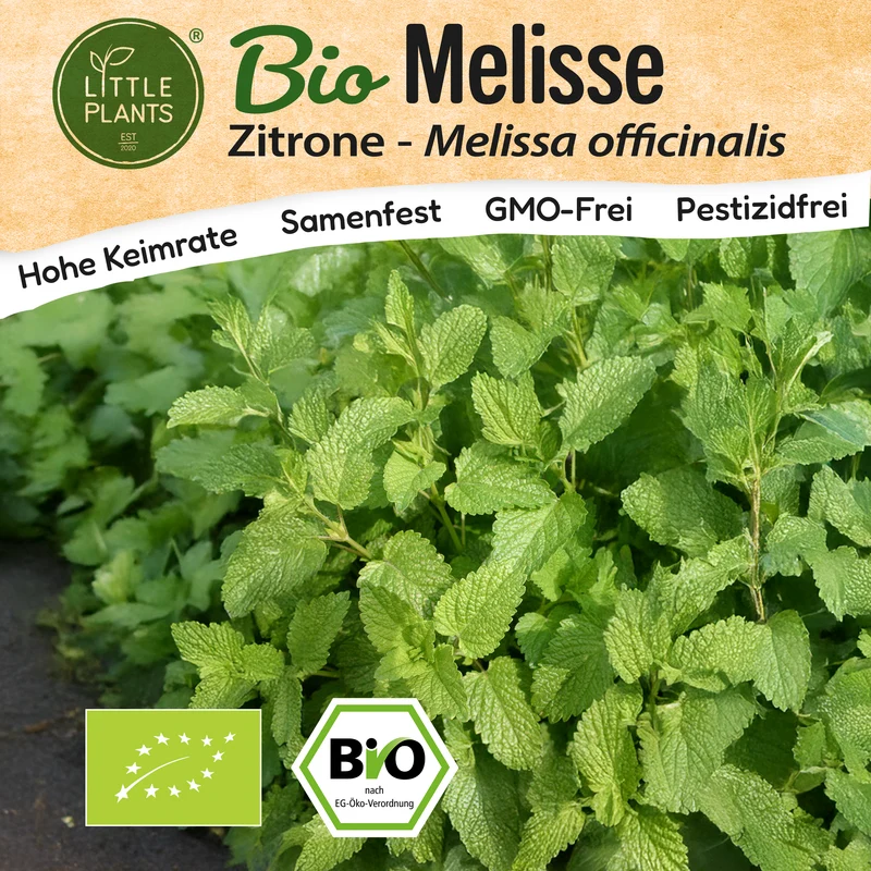 Bio-Melisse (Zitronenmelisse)
