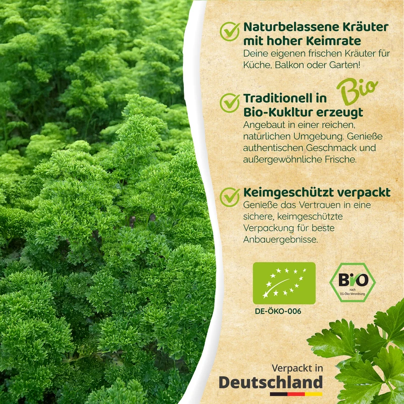 Bio-Petersilie (Mooskrause 2)