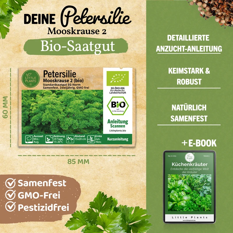 Bio-Petersilie (Mooskrause 2)