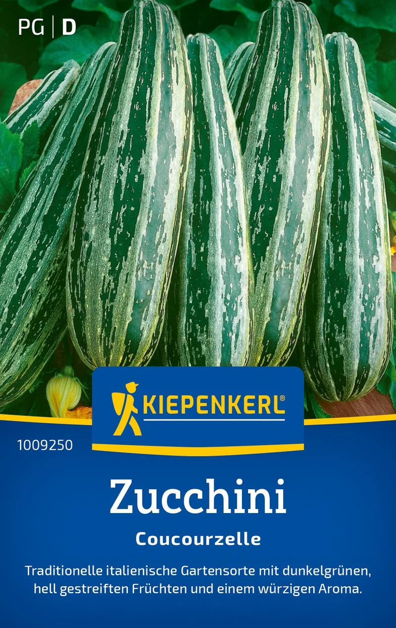 Zucchinisamen Coucourzelle