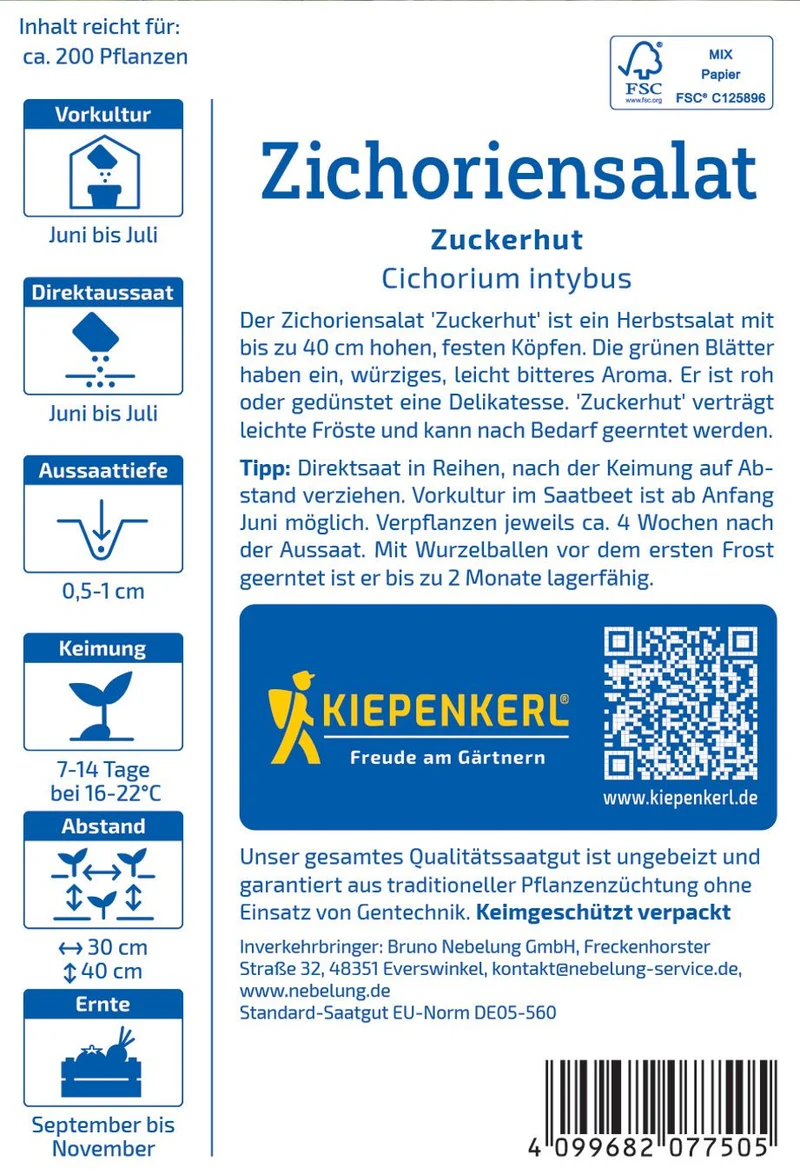 Zichoriensalatsamen Zuckerhut