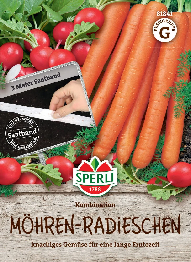 Möhrensamen-Radiessamen Kombination, Saatband