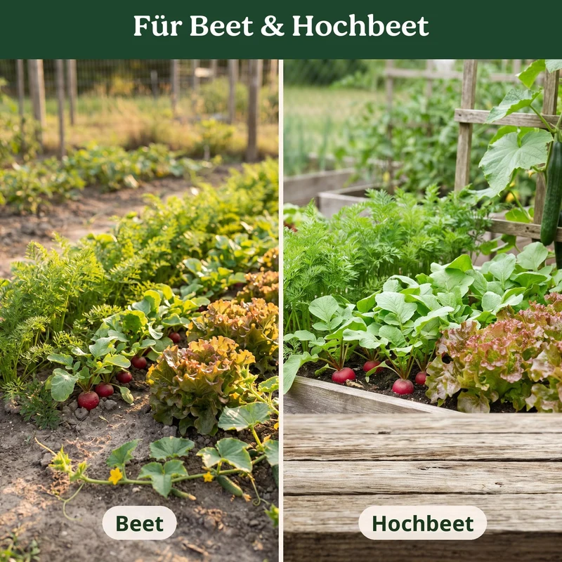 BioGlück Küchengarten Saatgut Set – 4 Bio Gemüsesamen: Radieschen Riesenbutter, Karotte Nantaise 5, Salatgurke Sonja & Pflücksalat